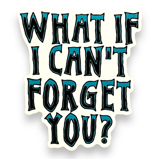 What If I Cant Forget You?